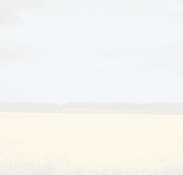 Контракт 18-24